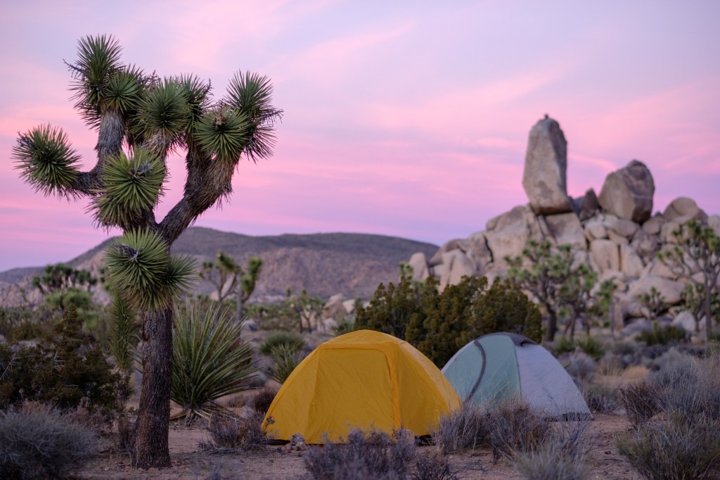 Camping: Nature’s Embrace and&nbsp;Adventure