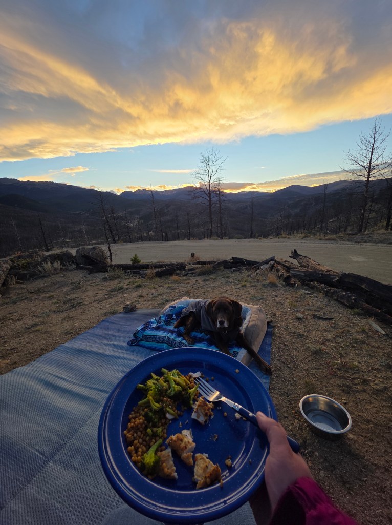 A person holding a plate of food in front of a scenic sunset backdrop, with a dog resting on a blanket nearby.