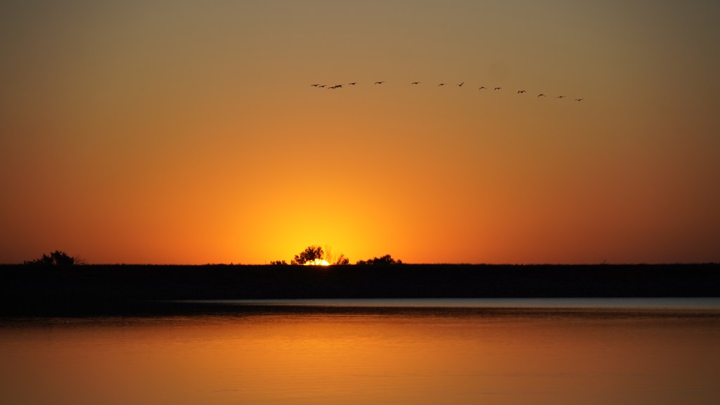 A tranquil sunrise over a reservoir, with vibrant orange and pink hues reflecting on the water, and a line of birds flying across the sky.