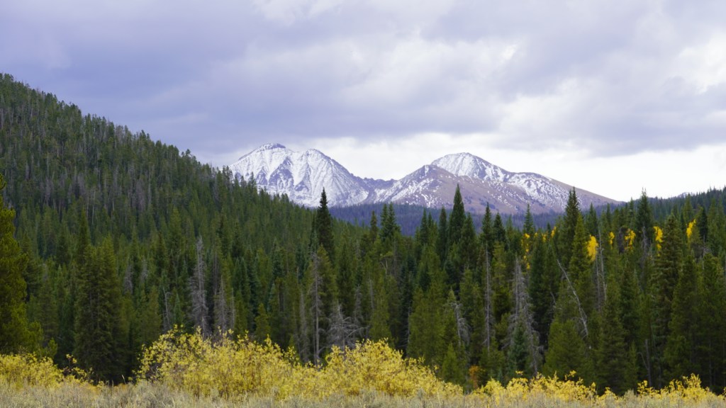 Scenic view of snow-capped mountains rising above a dense forest with autumn foliage in the foreground under a cloudy sky.